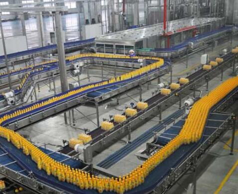 成套刺梨汁饮料生产线设备价格 小型刺梨深加工设备厂家