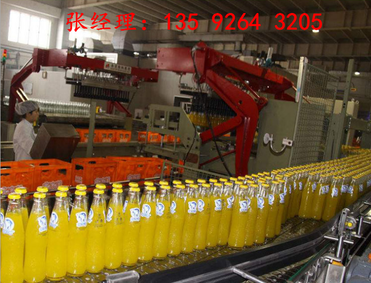 发酵型果蔬汁饮料生产设备|果浆果汁生产线设备厂家