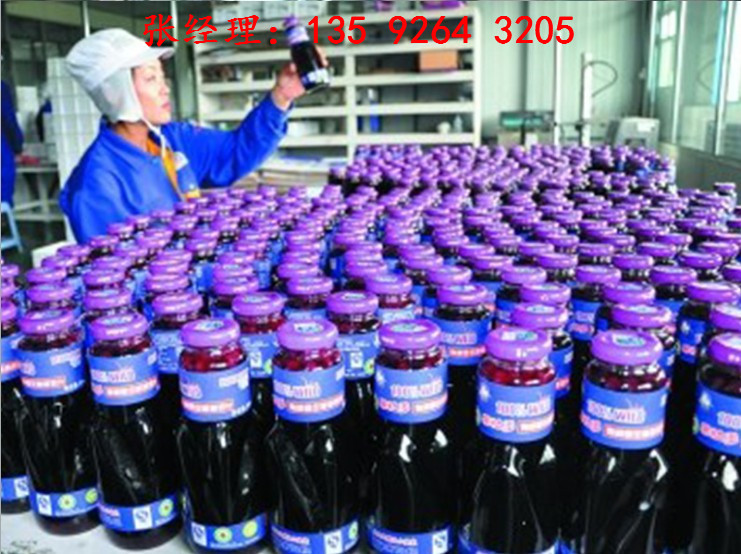 整套蓝莓果酒生产线设备价格|蓝莓深加工果汁饮料设备