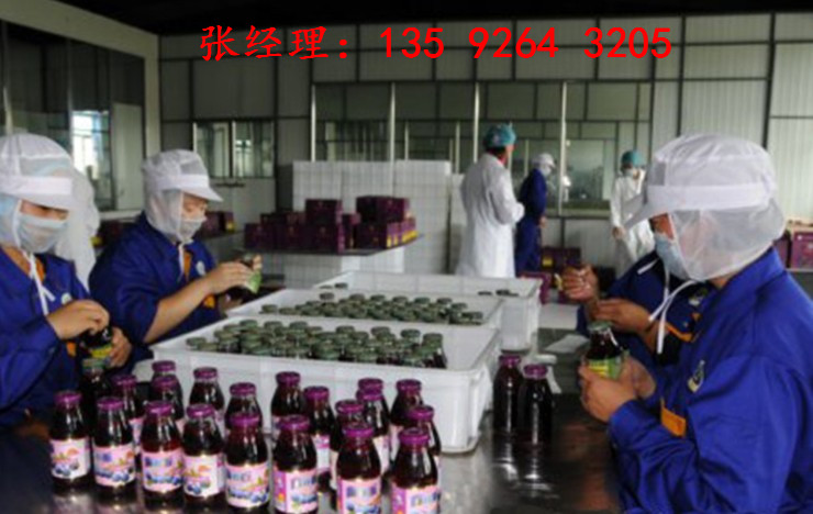 全套果汁饮料生产加工设备|瓶装果汁生产线设备价格