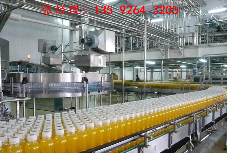 芒果果汁饮料生产加工设备|全套芒果汁生产线价格