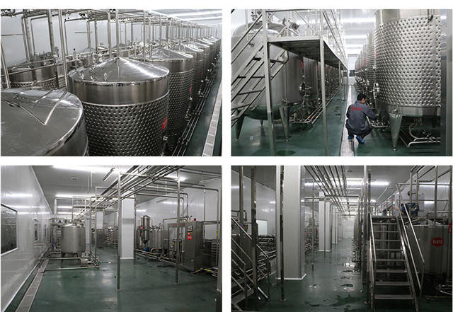 山楂汁饮料加工设备6000瓶每小时调配型山楂果酒生产线